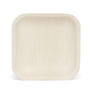 Appetiser Plate (Square-6″)- Outdoor Picnics