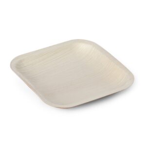 Appetiser Plate (Square-6″)- Festivals & Community Events