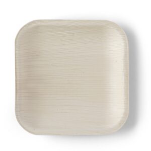 Appetiser Plate (Square-6″)- Corporate Events