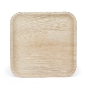 Main Course Plate (Square-10″)- House Parties