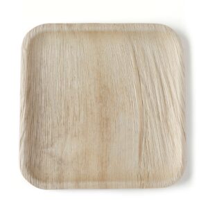 Main Course Plate (Square-10″)- Festivals & Community Events
