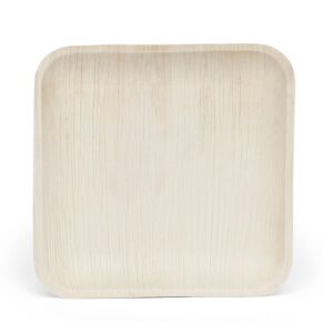 8″ Square Areca Leaf Snack Plate
